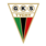 GKS Tychy logo